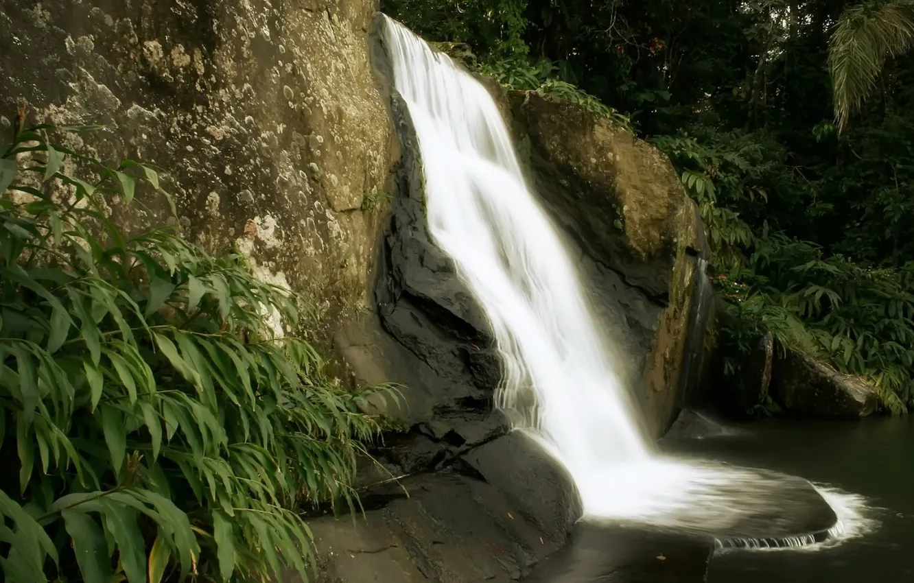 Photo wallpaper nature, rocks, waterfall, jungle
