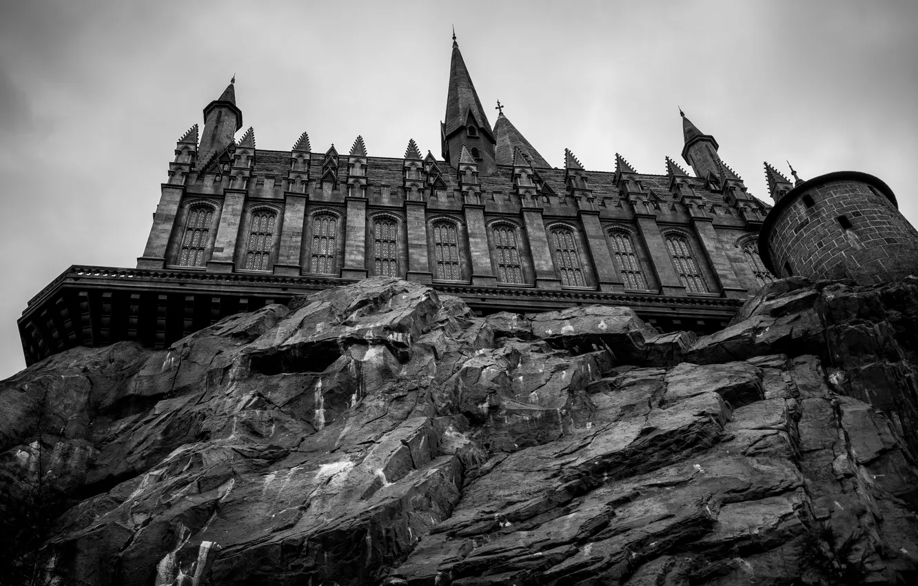 Photo wallpaper white, castle, black