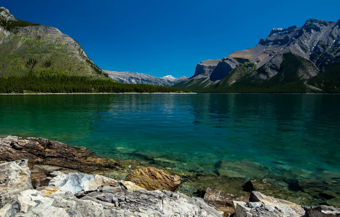 Photo wallpaper forest, landscape, mountains, nature, lake, blue, stones, shore
