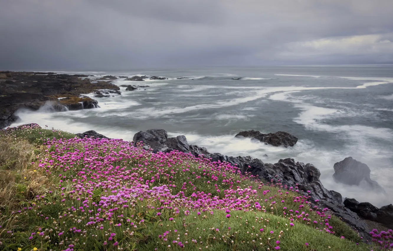 Photo wallpaper sea, wave, flowers, stones, rocks, shore