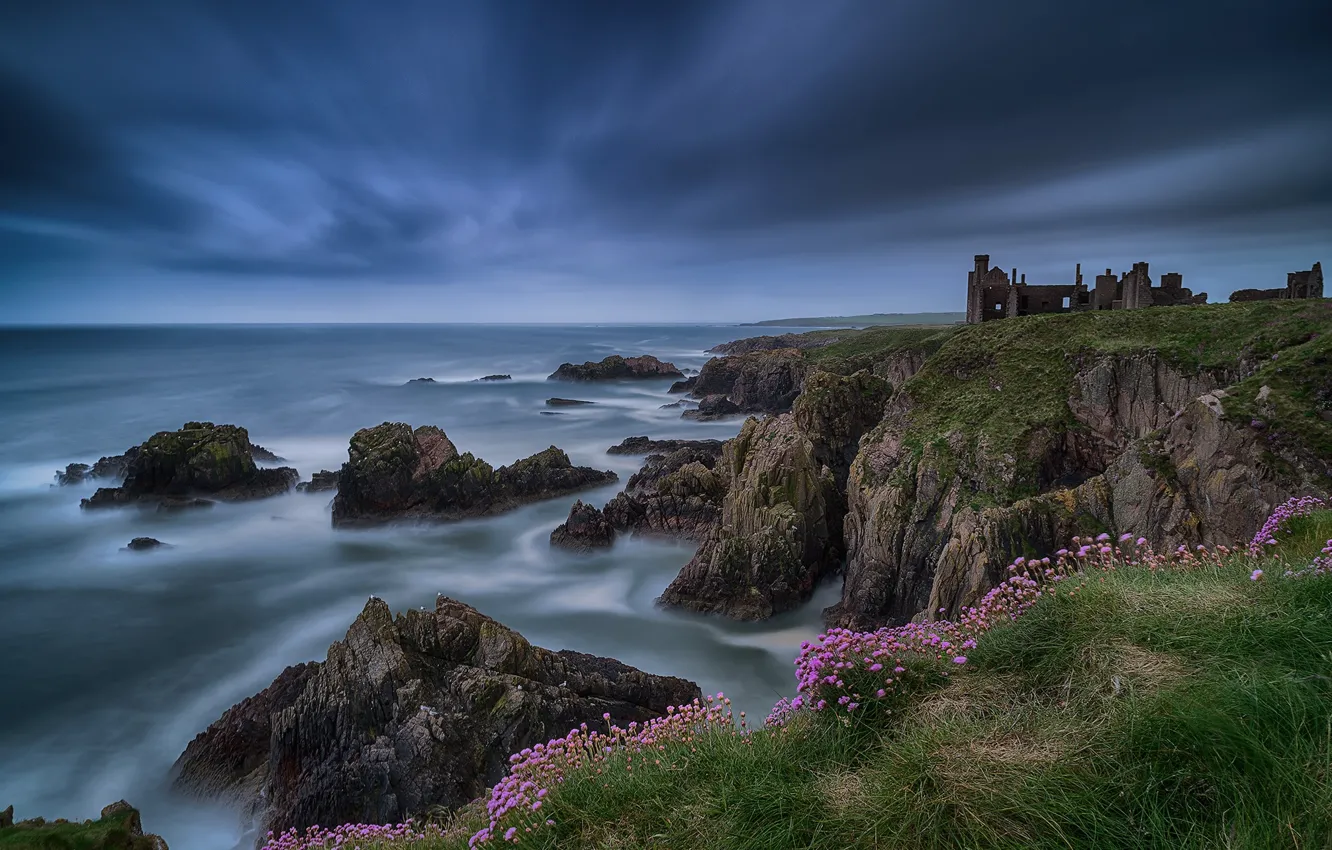 Photo wallpaper sea, landscape, flowers, nature, rocks