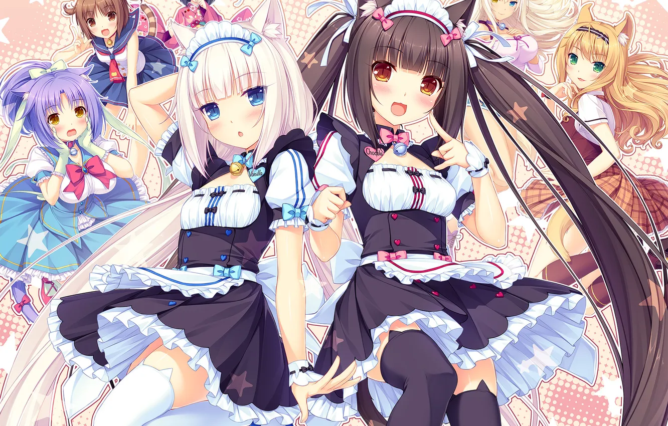 Photo wallpaper look, girl, joy, neko, ears, art, chocolat, heterochromia