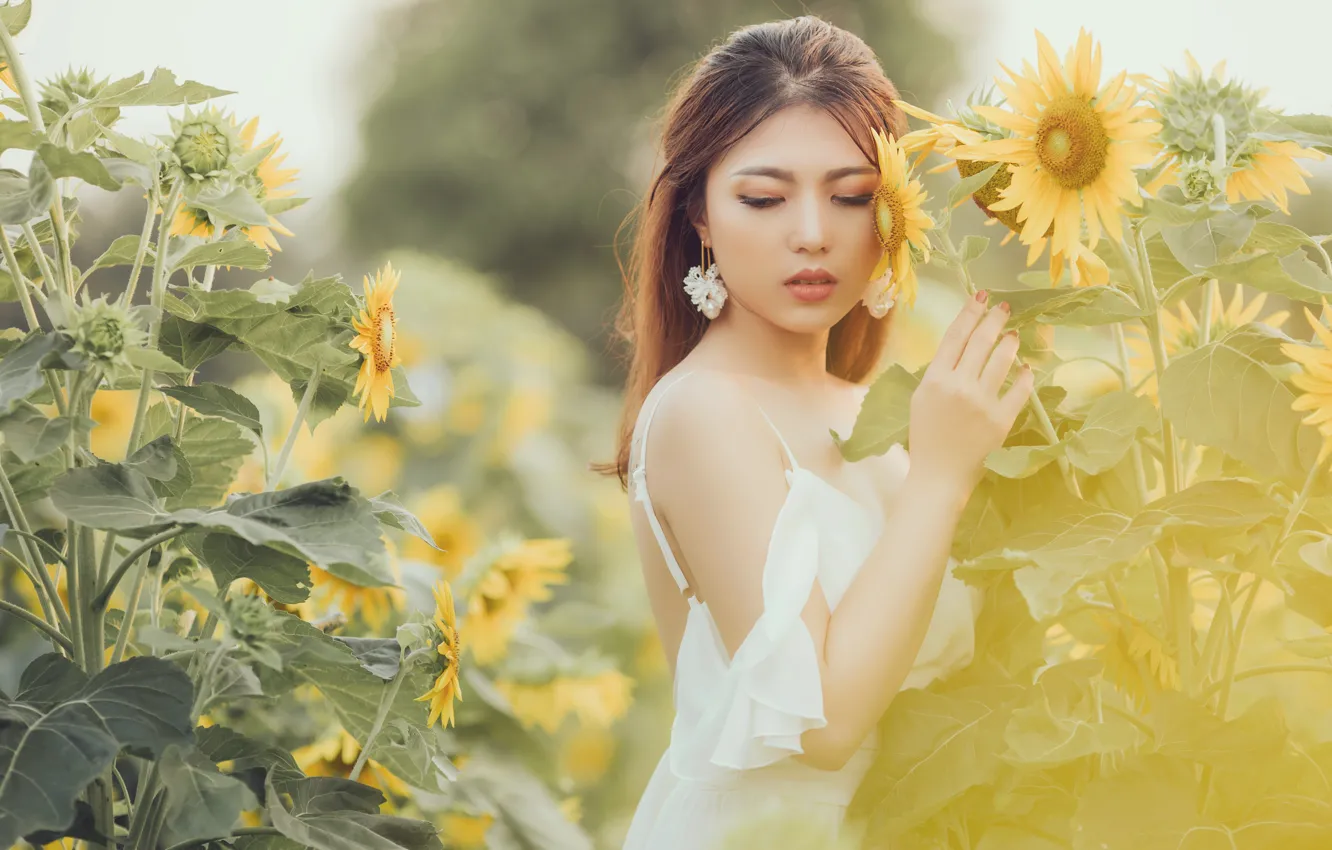 Photo wallpaper summer, girl, sunflowers
