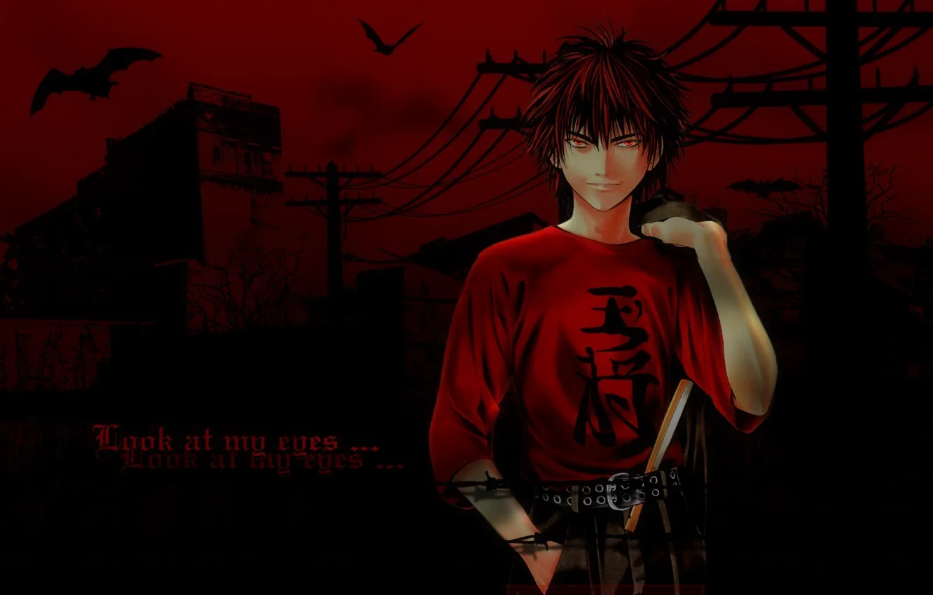 Photo wallpaper wire, bats, red eyes, barbed wire, cool, a bloody mist, Hikaru no Go, Tetsuo Policies