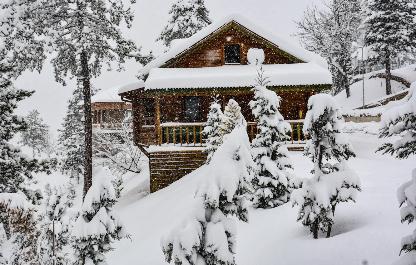 Photo wallpaper Nature, Snow, House, House, Nature, Snow, Winter Forest, Winter Forest