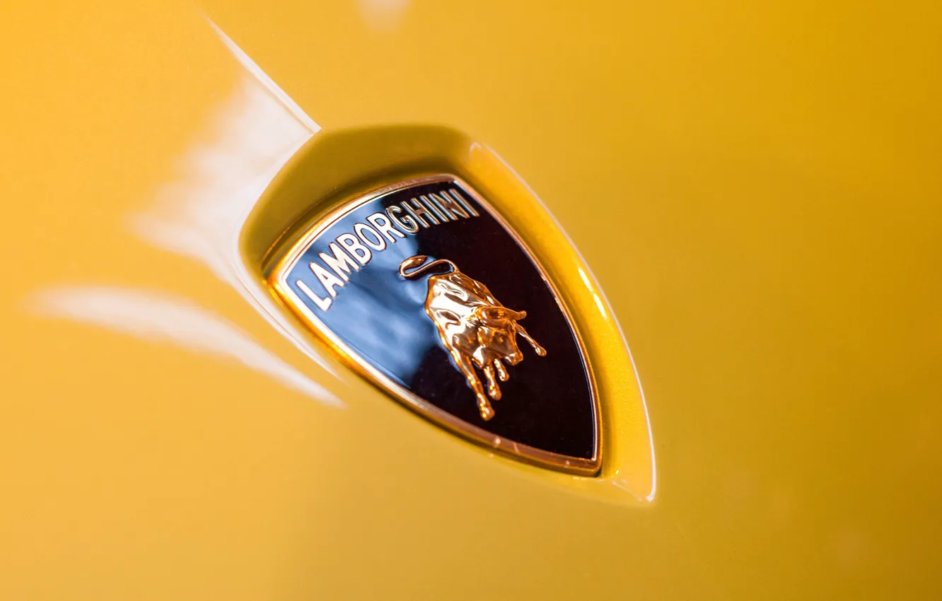 Photo wallpaper macro, Lamborghini, the hood, emblem