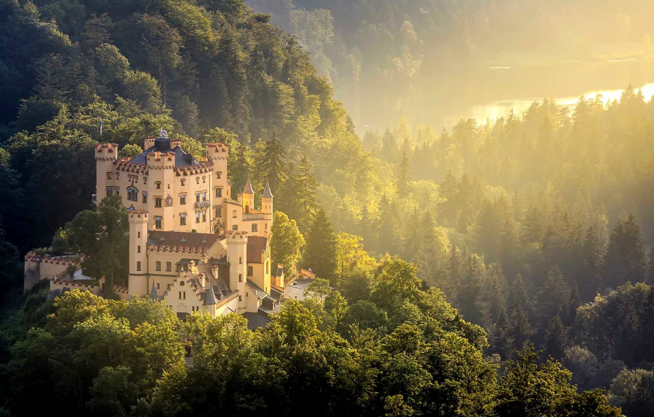 Photo wallpaper forest, castle, Germany, Hohenschwangau, Hohenschwangau Castle