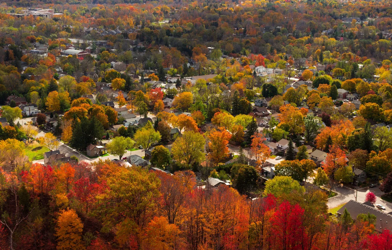 Photo wallpaper autumn, trees, home, Canada, Ontario