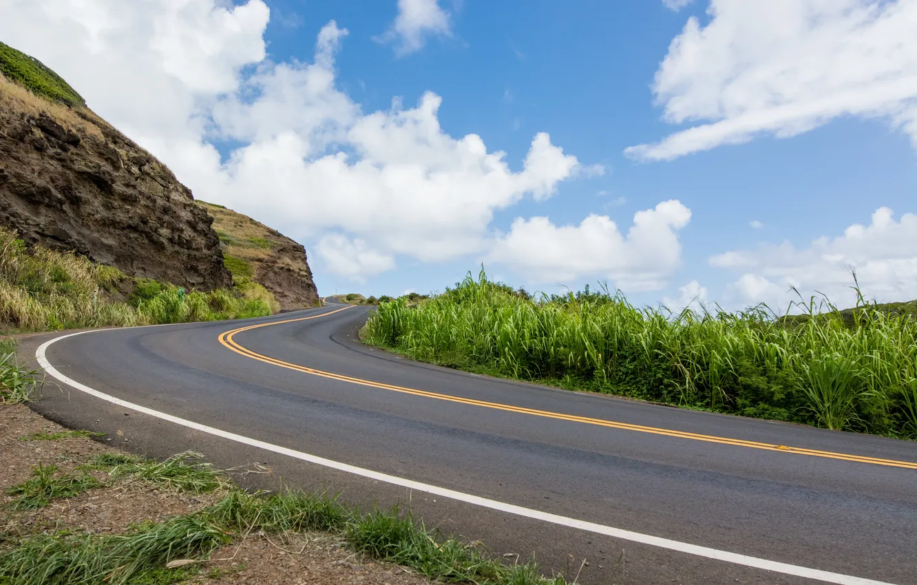 Photo wallpaper road, the sky, clouds, landscape, nature, plant, horizon, road