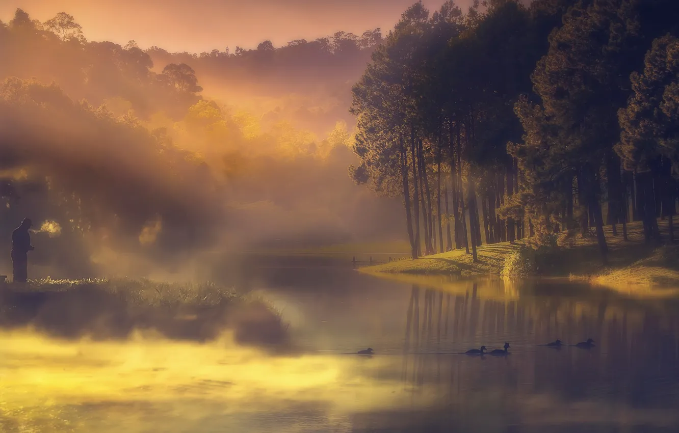 Photo wallpaper fog, river, duck, fisherman, morning, haze