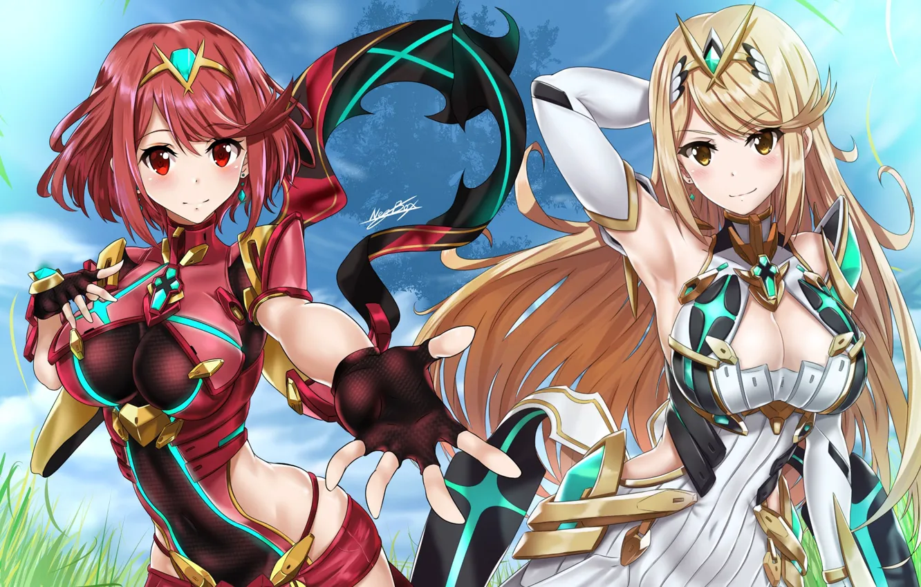 Photo wallpaper girls, anime, art, xenoblade