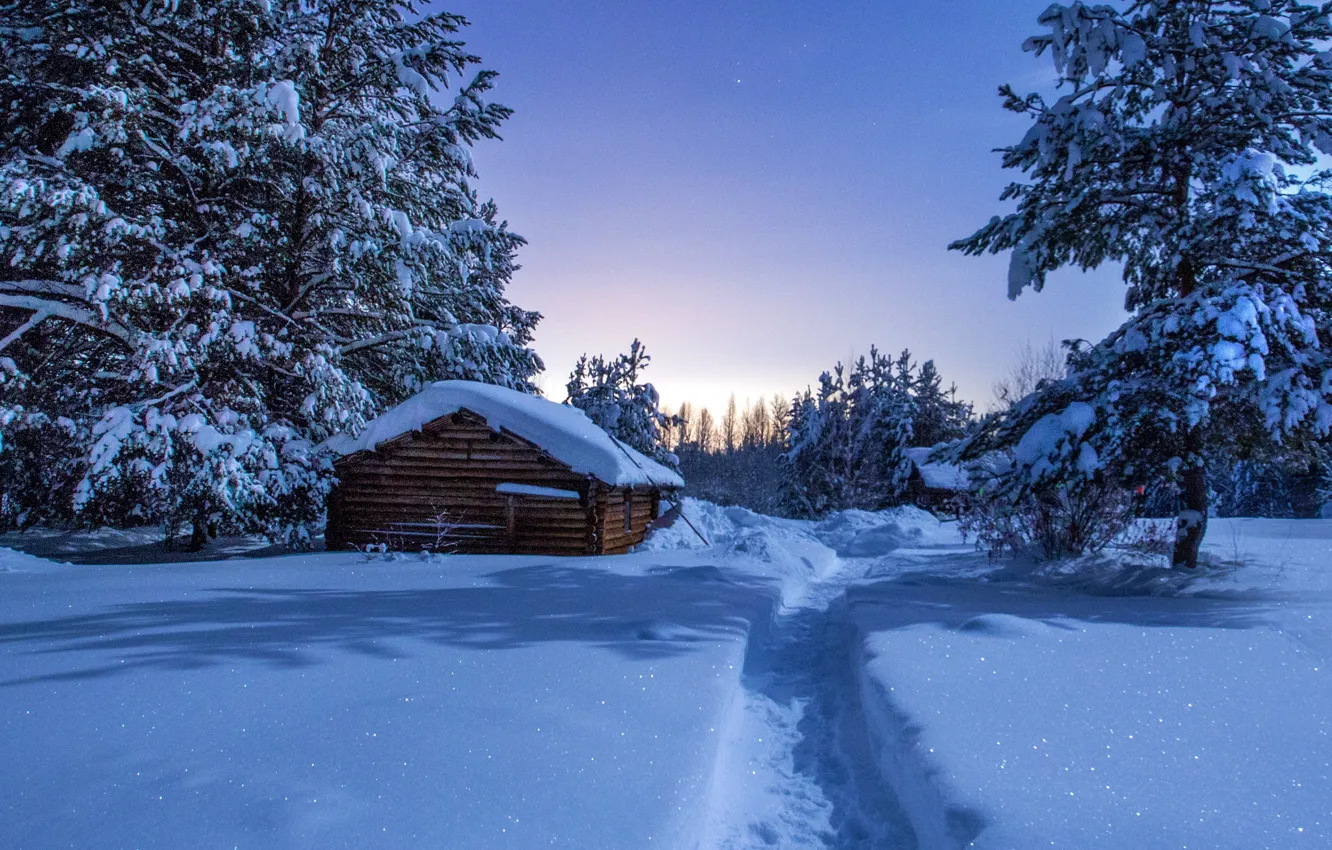 Photo wallpaper winter, snow, night, trail, house