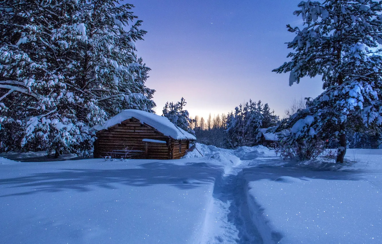 Photo wallpaper winter, snow, night, trail, houses