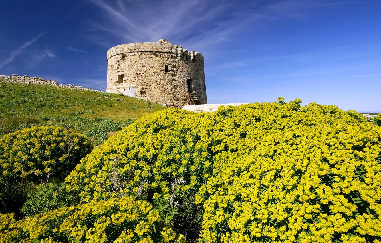 Photo wallpaper flowers, tower, hill, Spain
