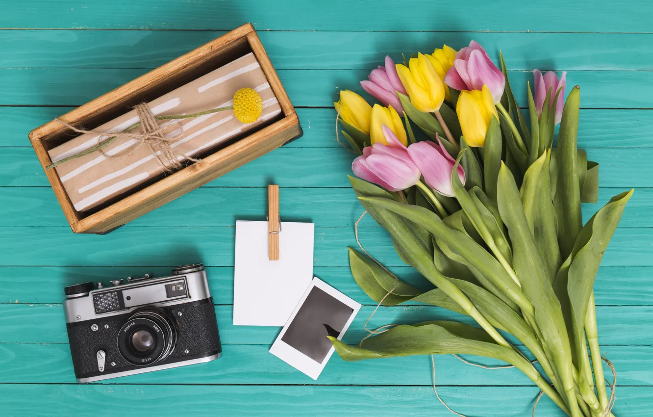 Photo wallpaper retro, gift, bouquet, the camera, tulips, Ana Lukenda