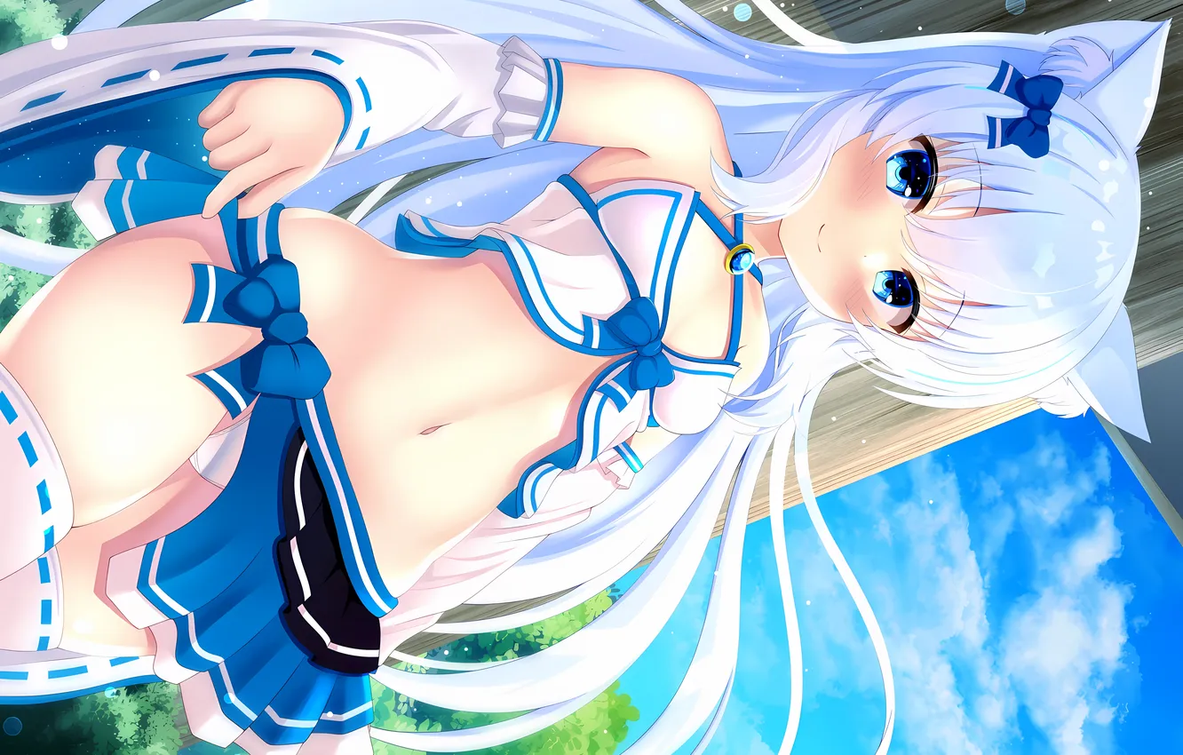 Photo wallpaper girl, grass, sexy, lingerie, cleavage, blouse, panties, thighhighs