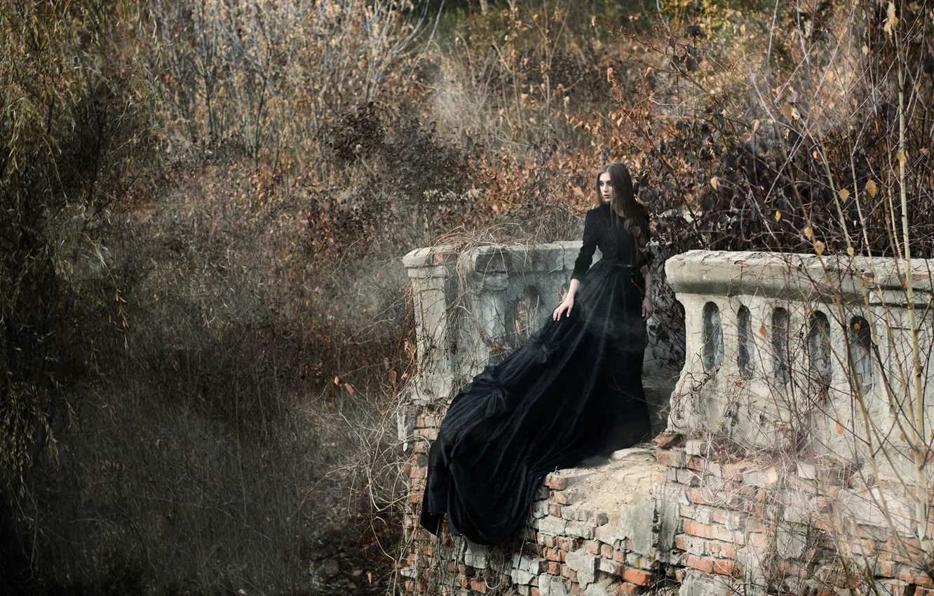 Photo wallpaper dark, lady, pose, black dress