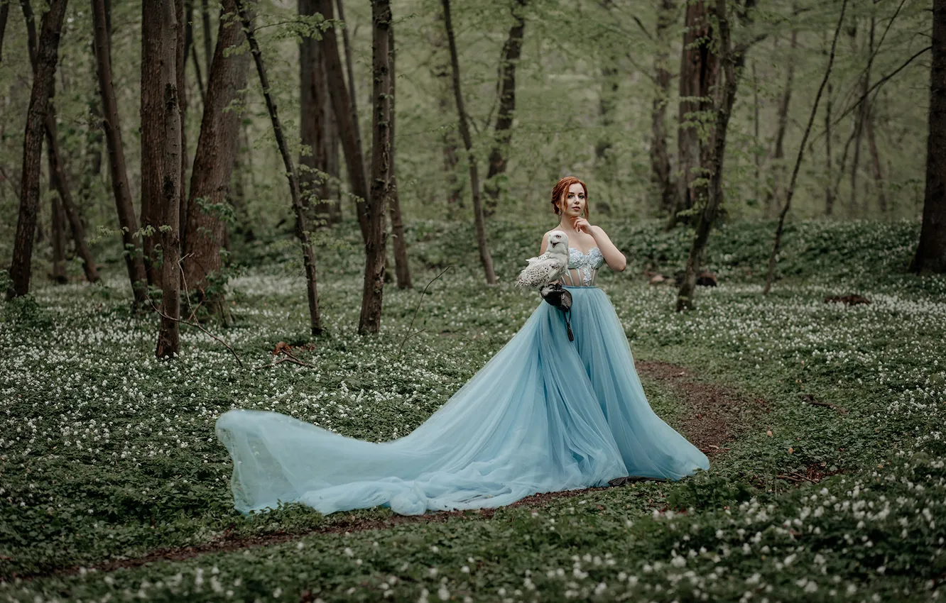 Photo wallpaper forest, girl, flowers, owl, bird, glade, spring, dress