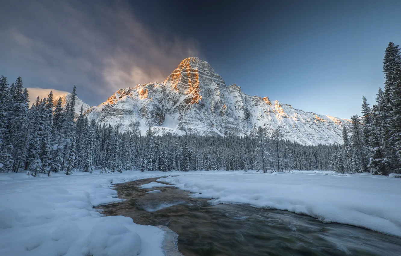 Photo wallpaper winter, forest, snow, river, Canada, Albert, Banff national Park, Mount Chephren