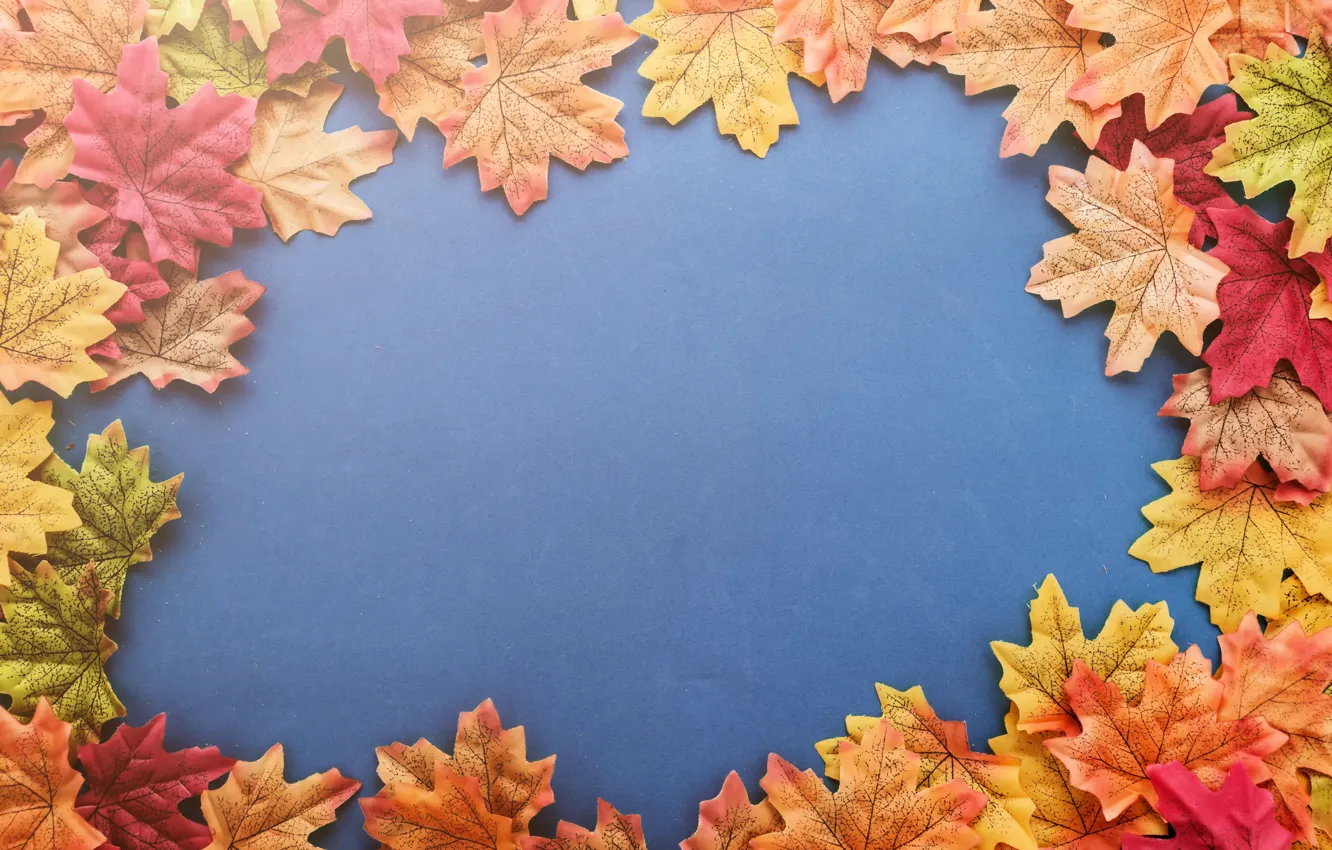 Photo wallpaper autumn, leaves, background, colorful, background, autumn, leaves, autumn