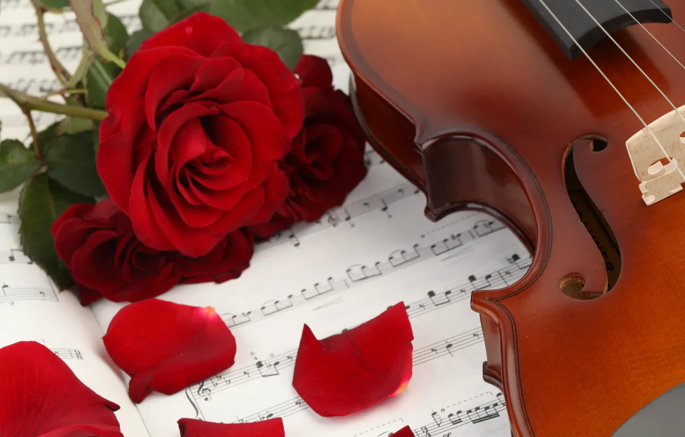 Photo wallpaper flowers, notes, music, violin, roses, petals, music, book