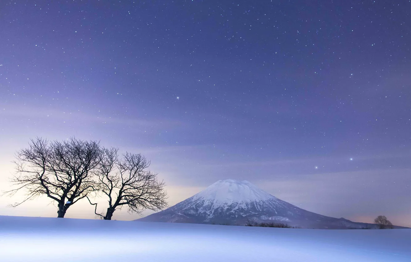 Photo wallpaper sky, trees, landscape, nature, night, winter, mountains, snow