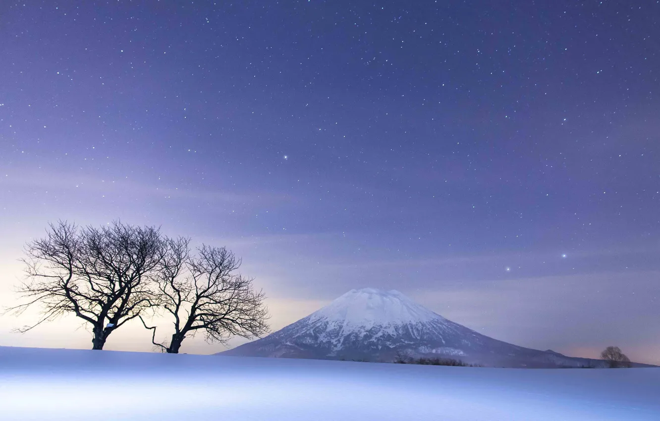 Photo wallpaper Nature, sky, trees, landscape, night, winter, mountains, snow
