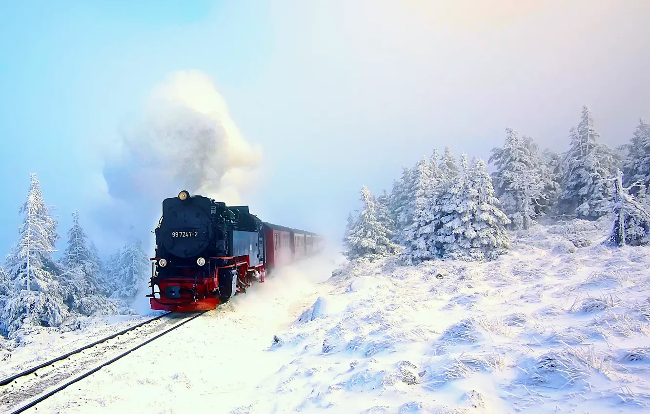 Photo wallpaper winter, forest, snow, train, the engine