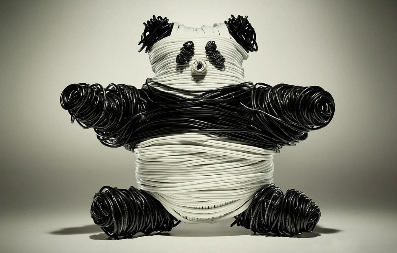 Photo wallpaper Wire, Panda