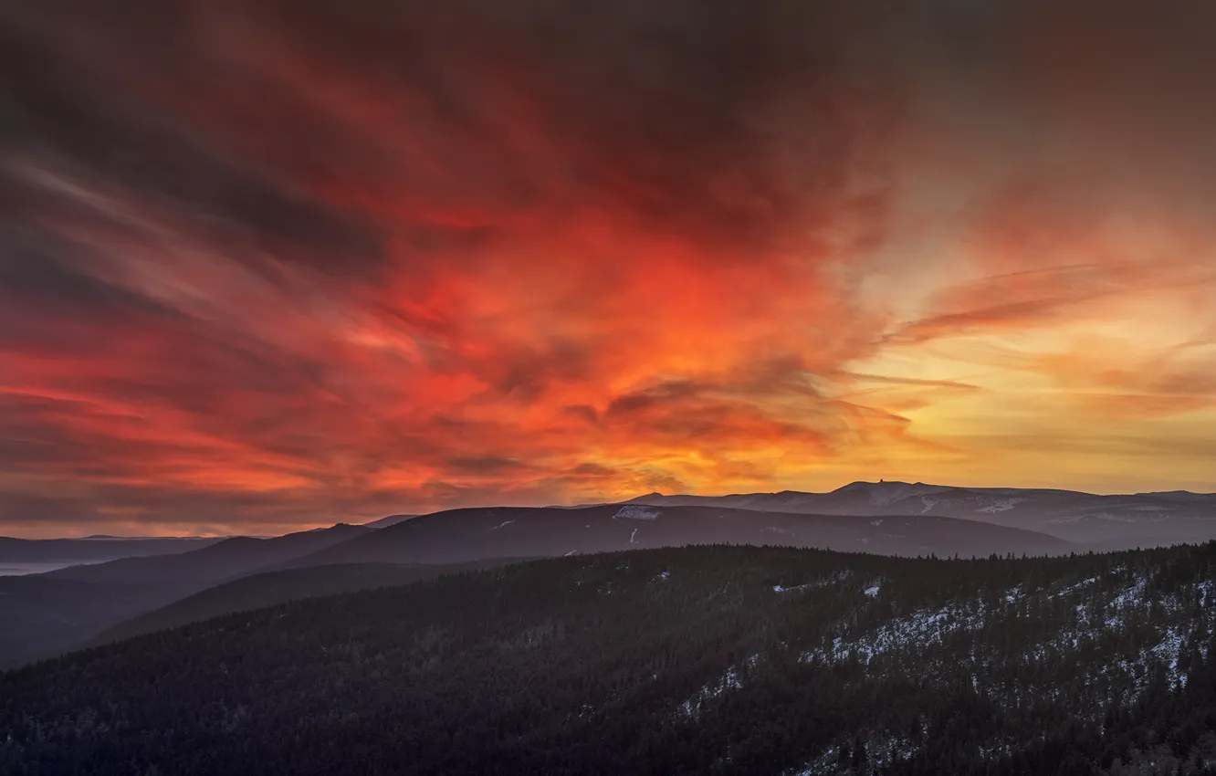 Photo wallpaper forest, the sky, sunset, mountains, Robert Kropacz