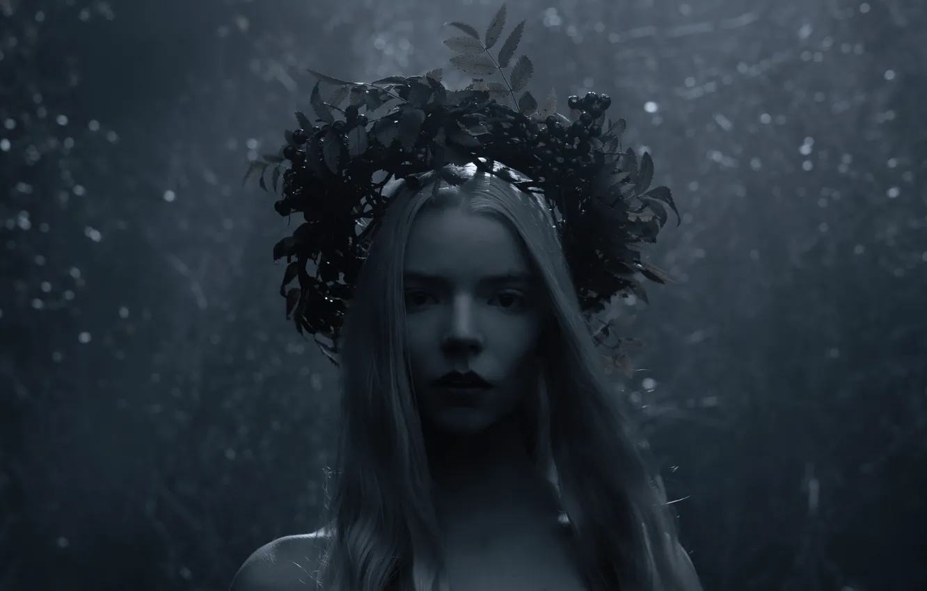 Photo wallpaper The Northman, Anya Taylor-Joy, movie