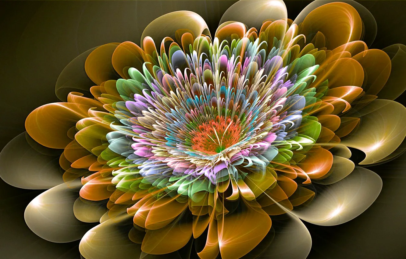 Photo wallpaper flower, line, pattern, paint, the volume
