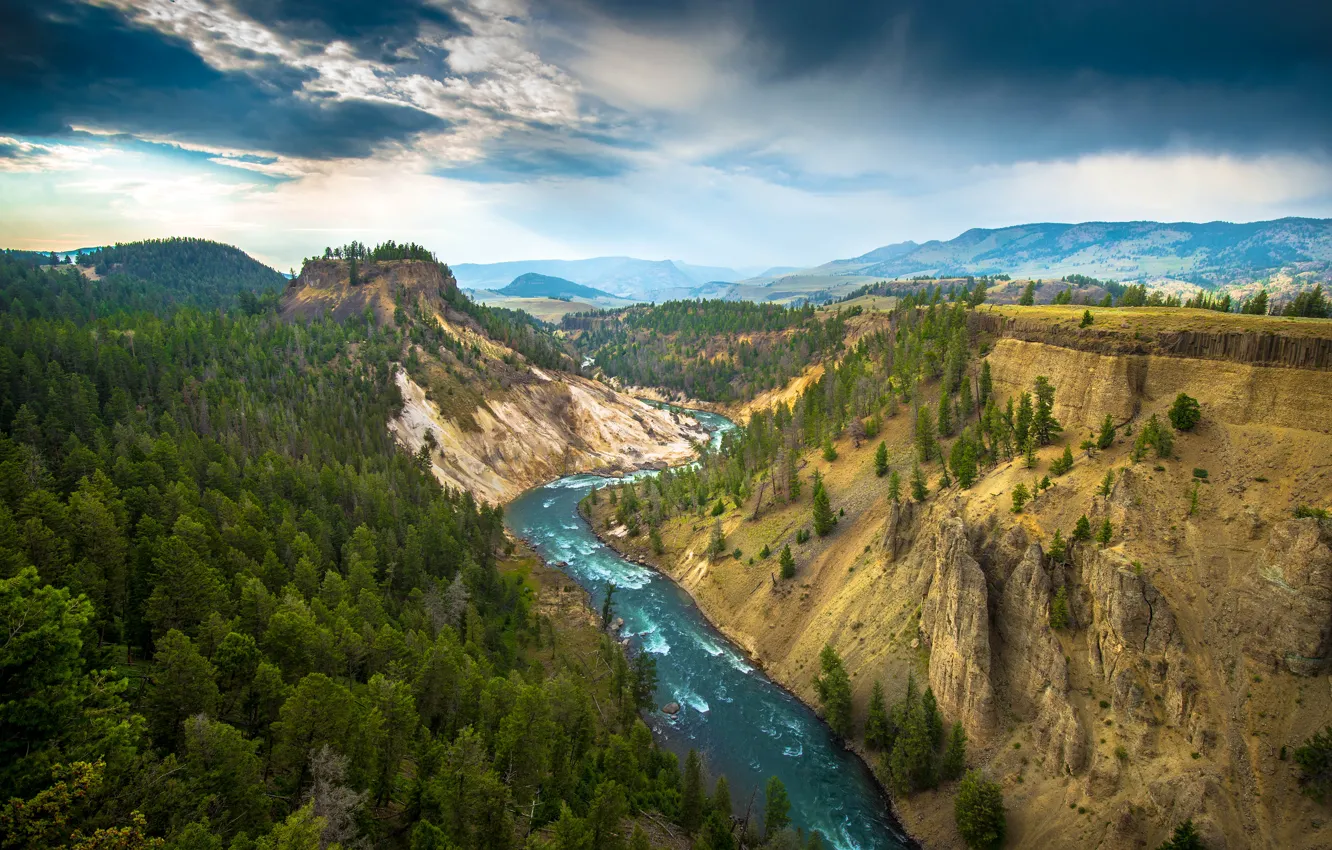 Photo wallpaper trees, mountains, nature, river, Yellowstone National Park