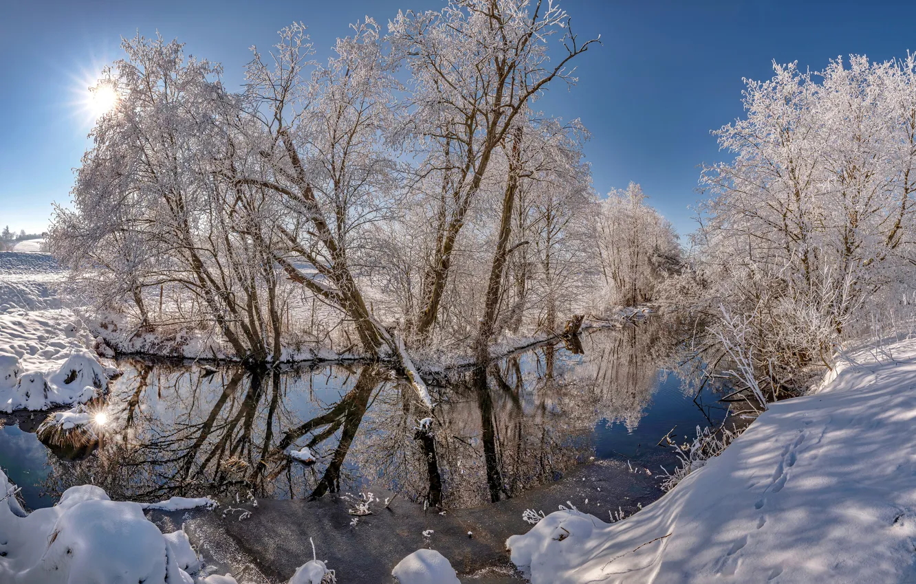 Photo wallpaper winter, frost, forest, the sky, the sun, rays, light, snow