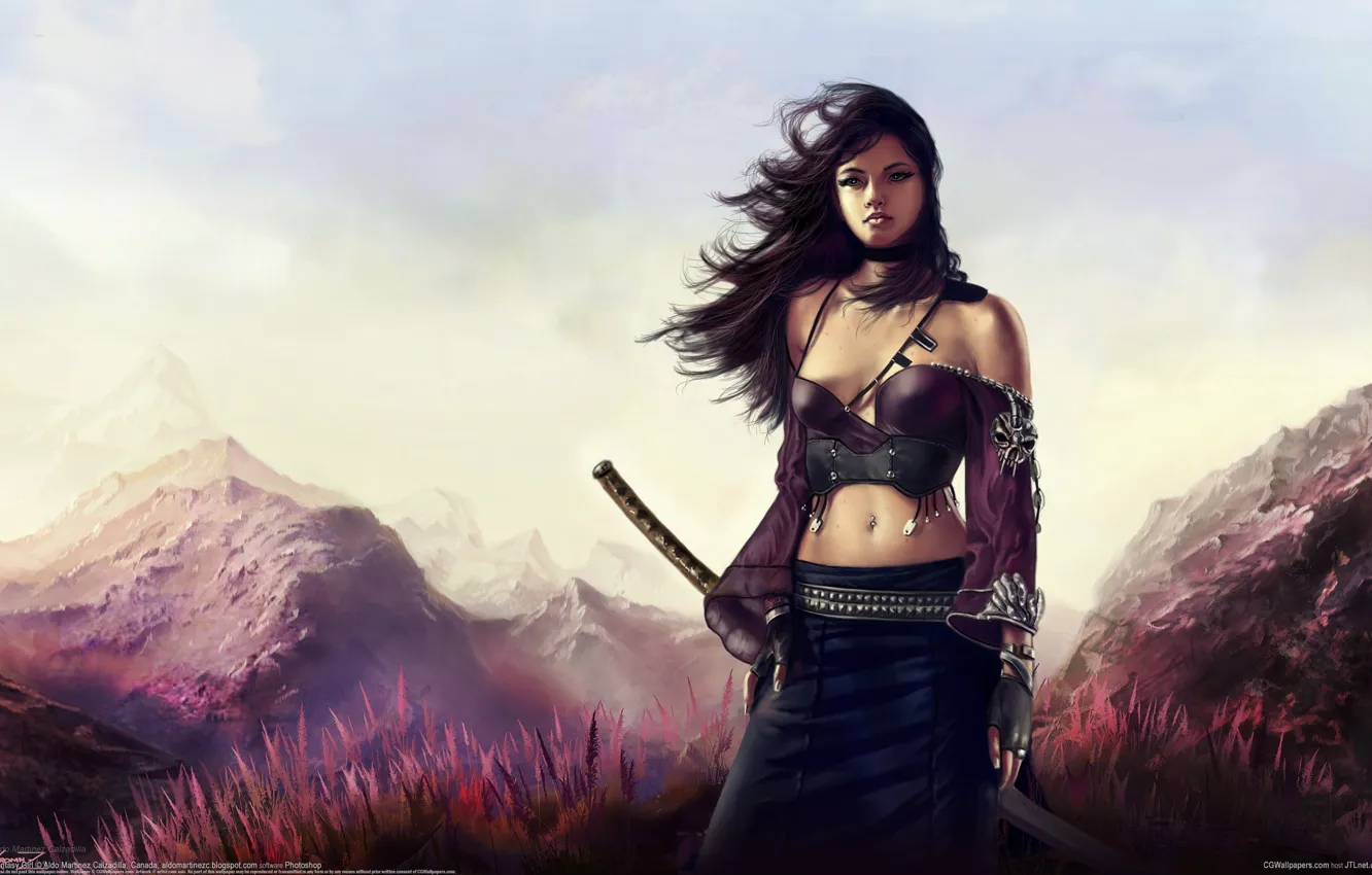 Photo wallpaper grass, girl, landscape, mountains, the wind, sword, katana, art