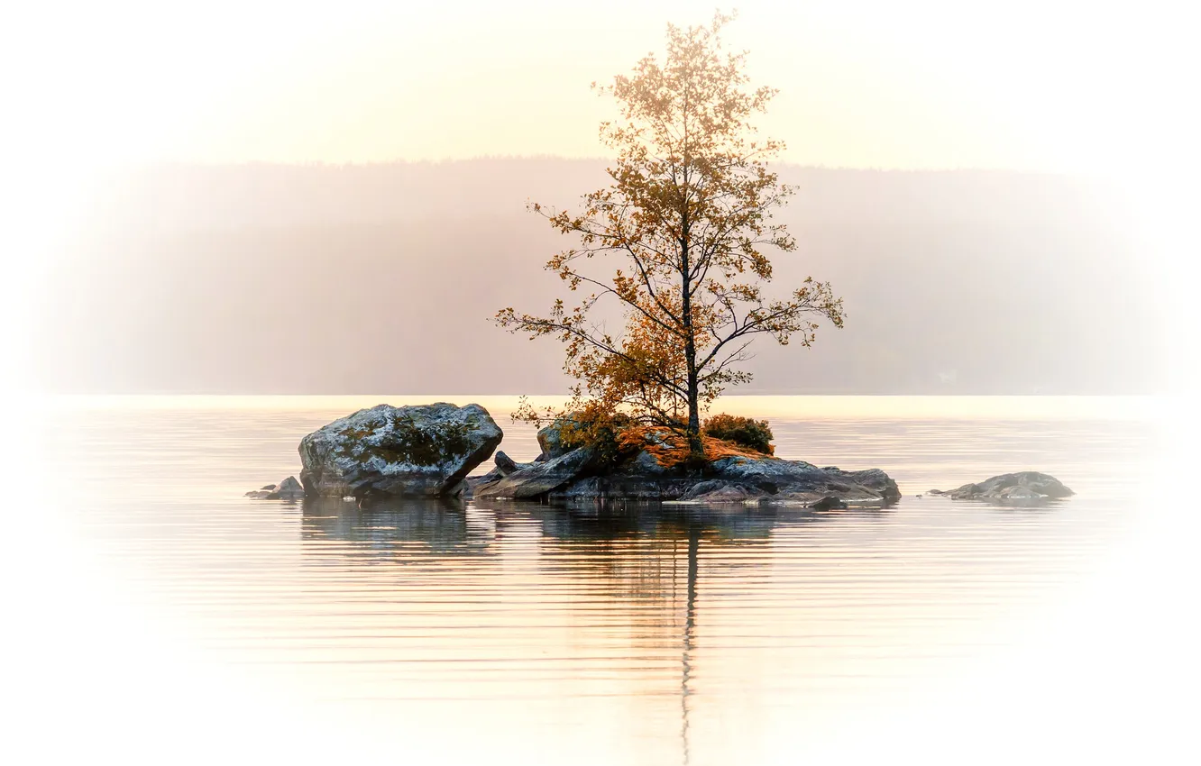 Photo wallpaper autumn, trees, mountains, lake, stones, island