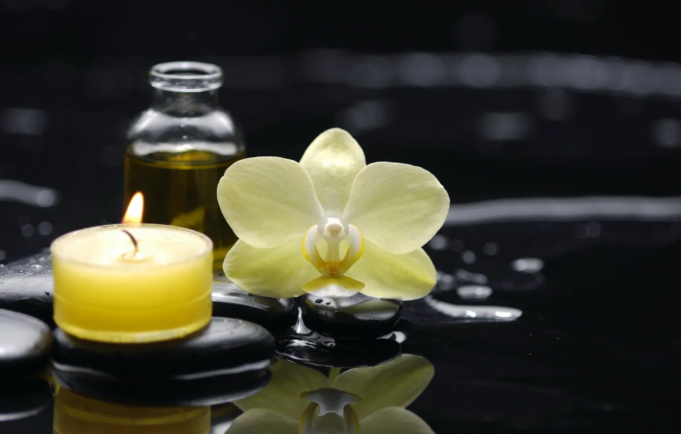 Photo wallpaper water, oil, candle, Orchid, water, Spa, Spa, Orchid