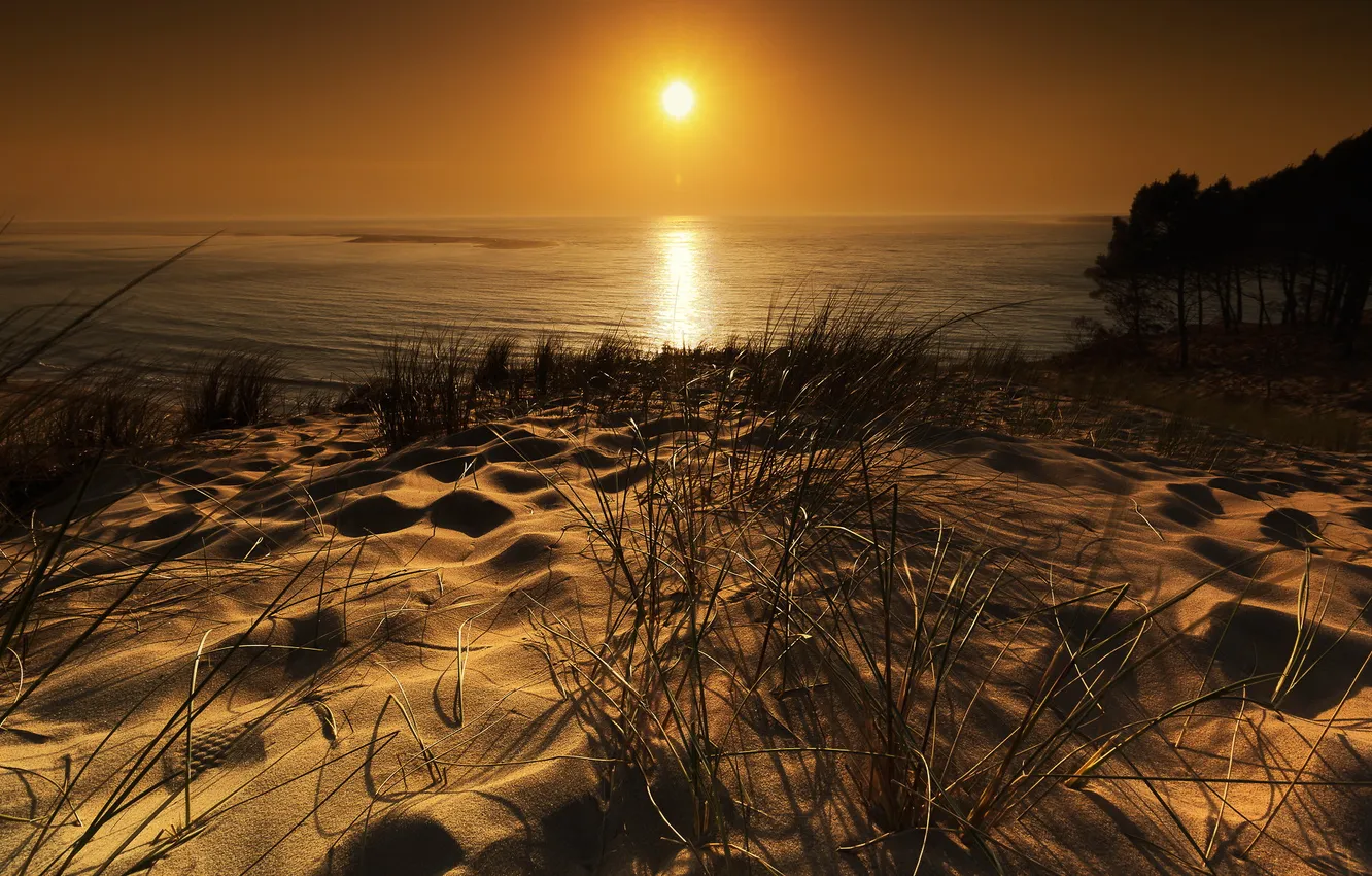 Photo wallpaper France, Aquitaine, Pyla on Sea