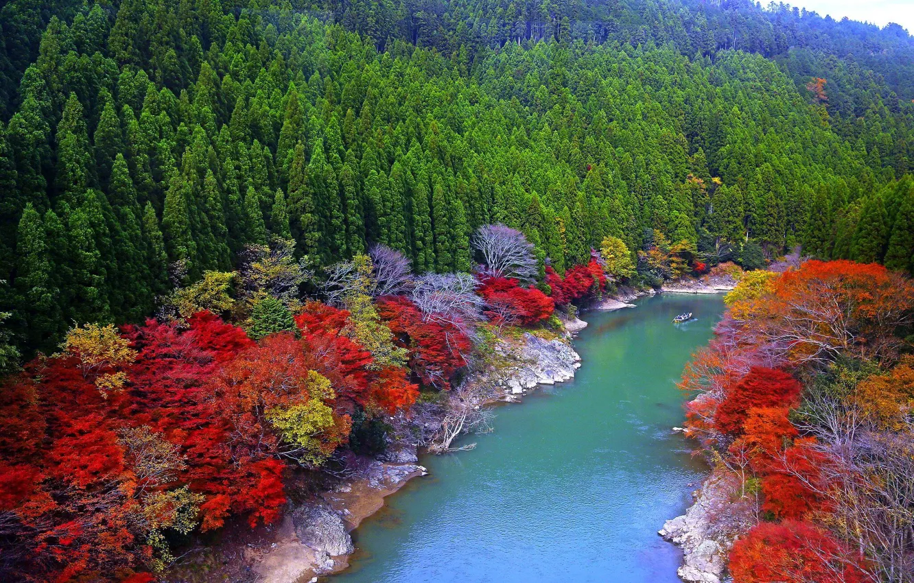 Photo wallpaper autumn, trees, river, shore, Japan.