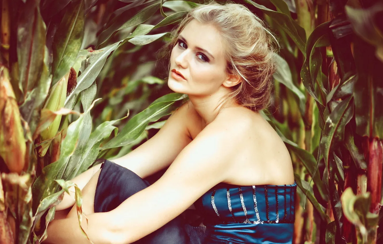 Photo wallpaper look, girl, beauty