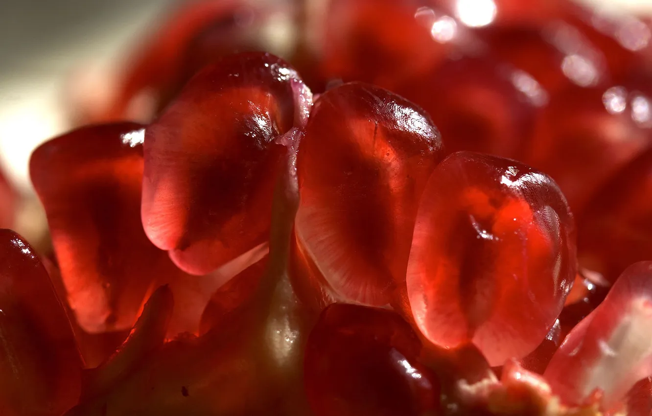 Photo wallpaper macro, red, grain, juice, red, juice, macro, fruit