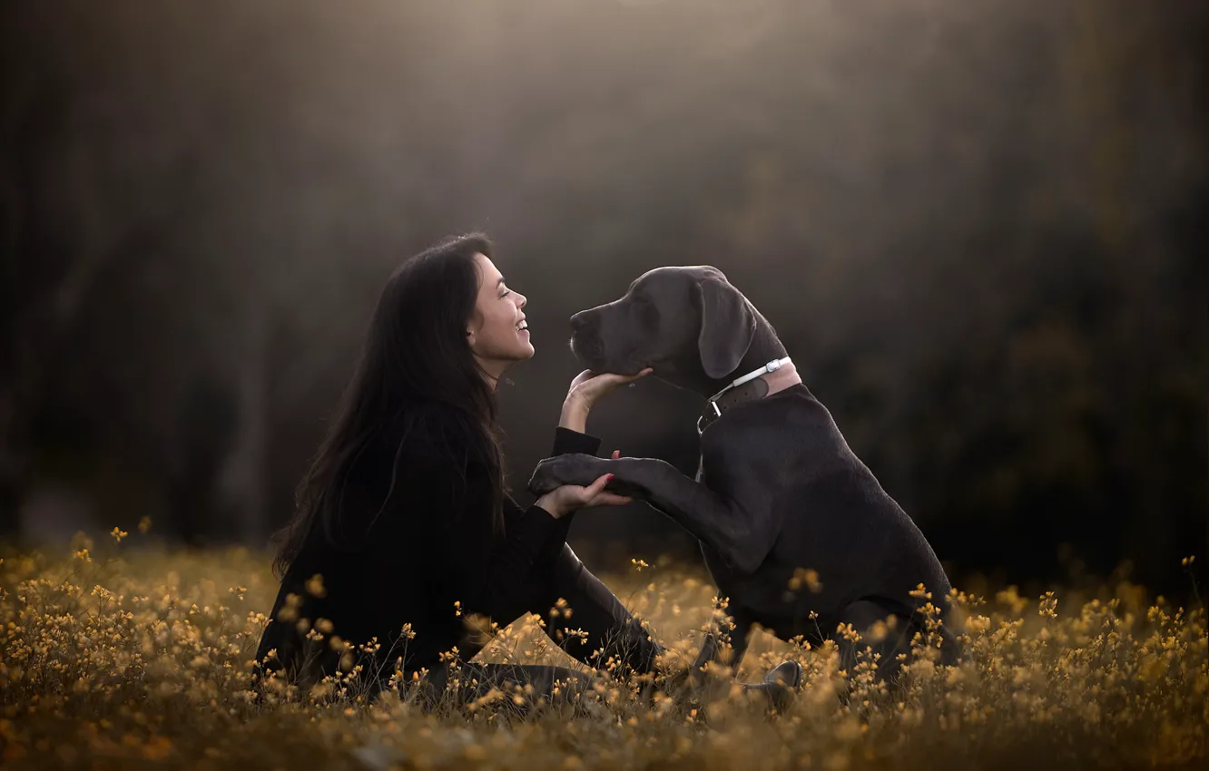 Photo wallpaper girl, flowers, each, mood, dog, paws, friendship