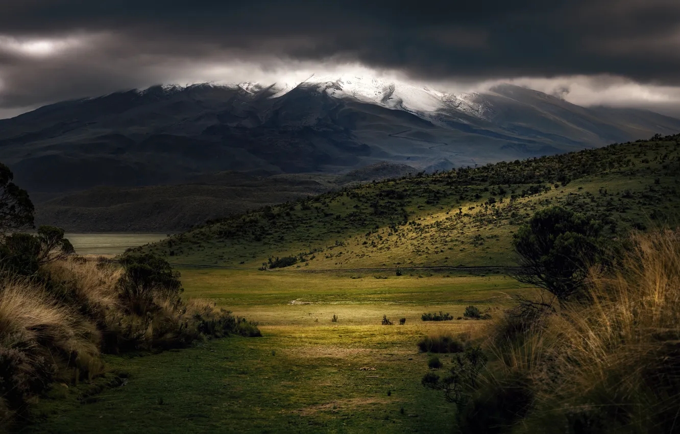 Photo wallpaper autumn, grass, light, trees, mountains, clouds, hills, view