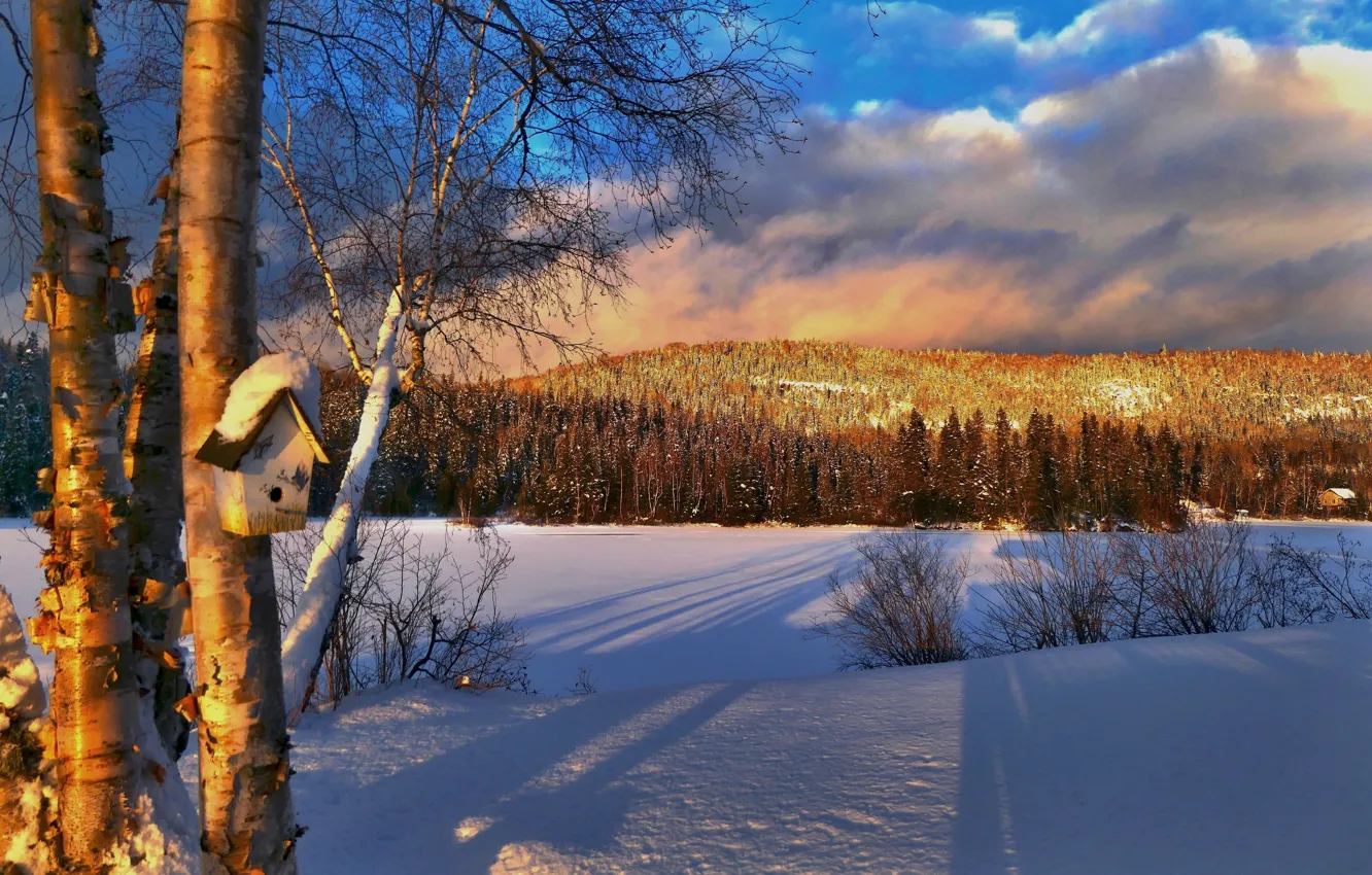 Photo wallpaper winter, snow, trees, landscape, sunset, nature, hill, Canada