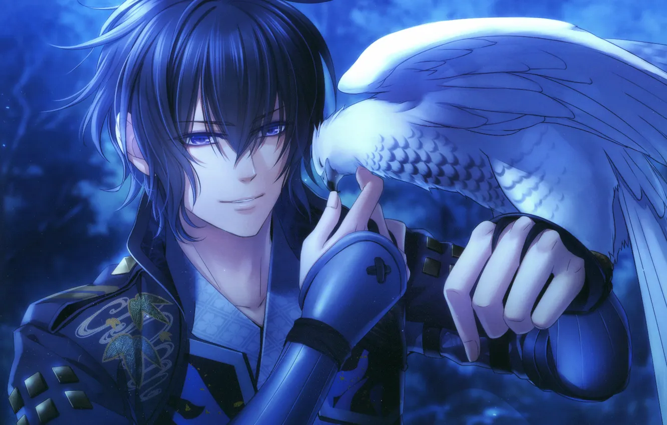 Photo wallpaper night, smile, bird, guy, art, peregrine, Kazuya, Toki no Kizuna