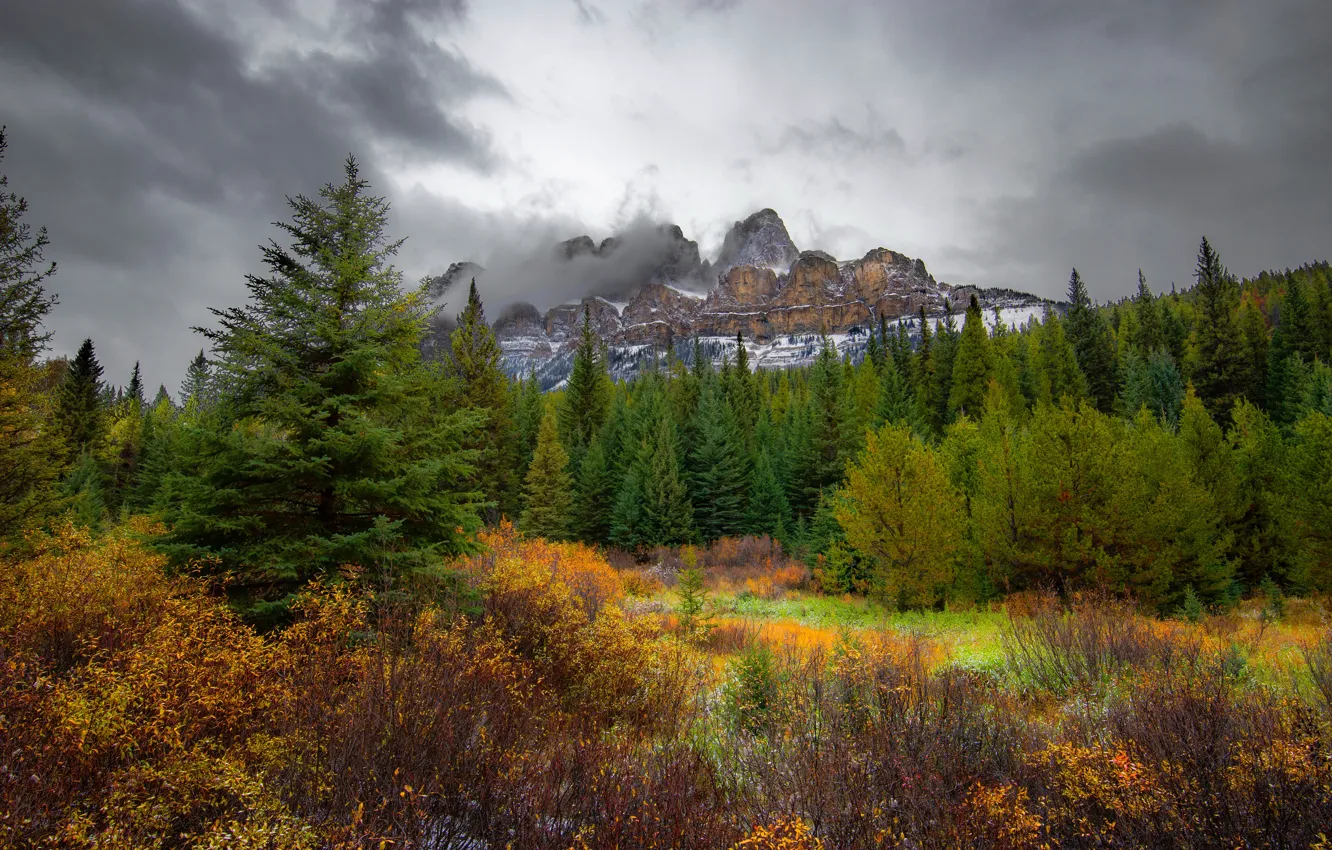 Photo wallpaper autumn, forest, clouds, trees, mountains, rocks, Banff National Park, Alberta