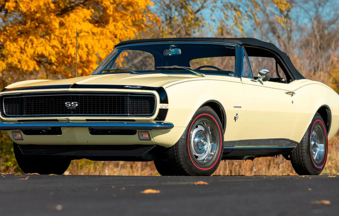 Photo wallpaper Chevrolet, Camaro, road, Chevrolet Camaro SS