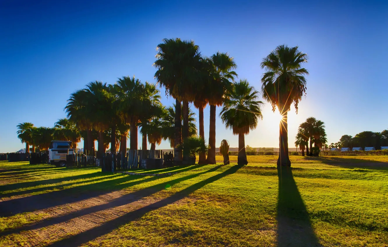 Photo wallpaper the sky, the sun, trees, Namibia, Hardap