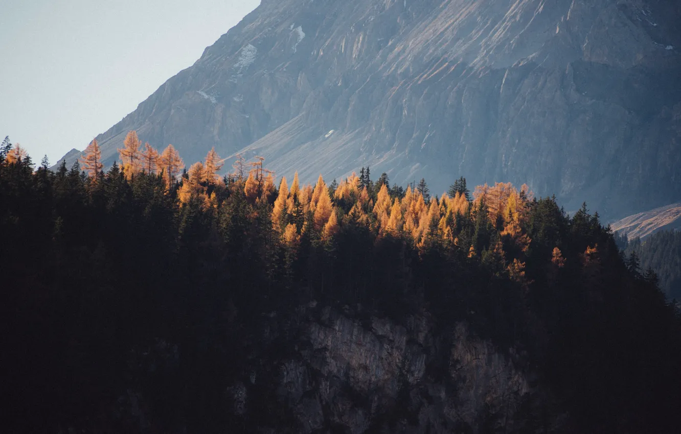 Photo wallpaper rock, Switzerland, trees, nature, Europe, autumn, mountain, hills