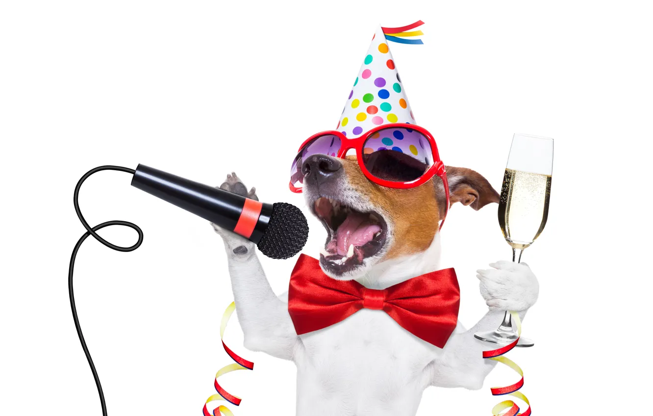 Photo wallpaper new year, dog, glasses, champagne, party, dog, happy new year, 2018